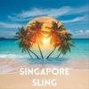 Singapore-inspired T-Shirts