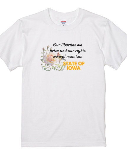 Thirty-six Beautiful Women T-shirts, Ukiyo-e print, Japanese style, Japanese pattern, Japanese souvenir, Mizuno Toshikata, Geisha t-shirt