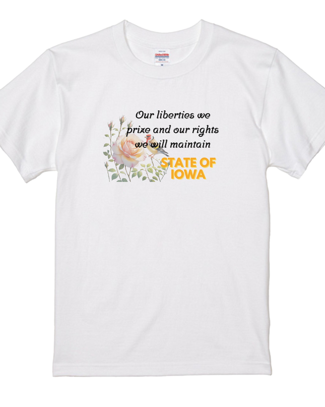 Pop American T-Shirts(3) cotton  Novelty Gift Ideas Iowa Tee