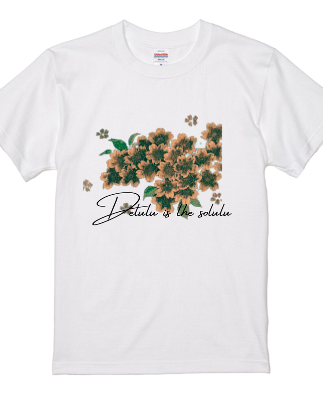 Popular Words T-Shirts(1) cotton Letter T-shirt Novelty Gift Ideas Funny T Shirt (Delulu is the solulu)