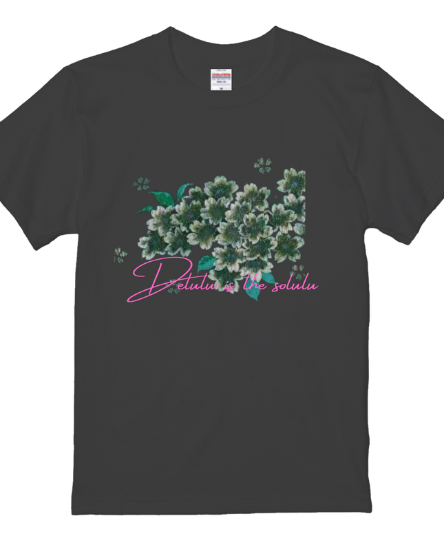 Popular Words T-Shirts(1) cotton Letter T-shirt Novelty Gift Ideas Funny T Shirt (Delulu is the solulu)