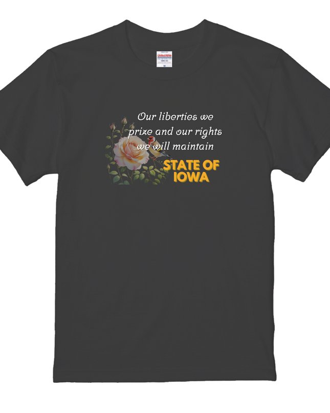 Pop American T-Shirts(3) cotton  Novelty Gift Ideas Iowa Tee