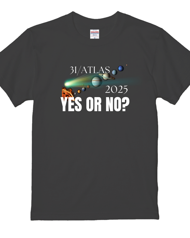 Thirty-six Beautiful Women T-shirts, Ukiyo-e print, Japanese style, Japanese pattern, Japanese souvenir, Mizuno Toshikata, Geisha t-shirt