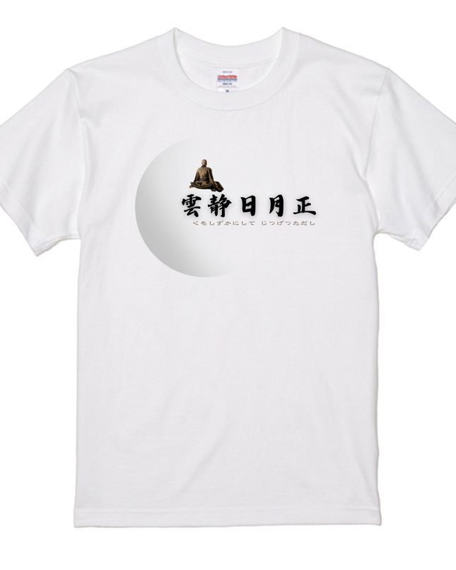 Thirty-six Beautiful Women T-shirts, Ukiyo-e print, Japanese style, Japanese pattern, Japanese souvenir, Mizuno Toshikata, Geisha t-shirt