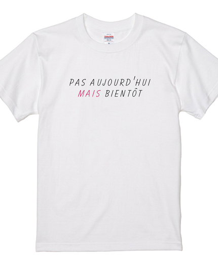 Thirty-six Beautiful Women T-shirts, Ukiyo-e print, Japanese style, Japanese pattern, Japanese souvenir, Mizuno Toshikata, Geisha t-shirt