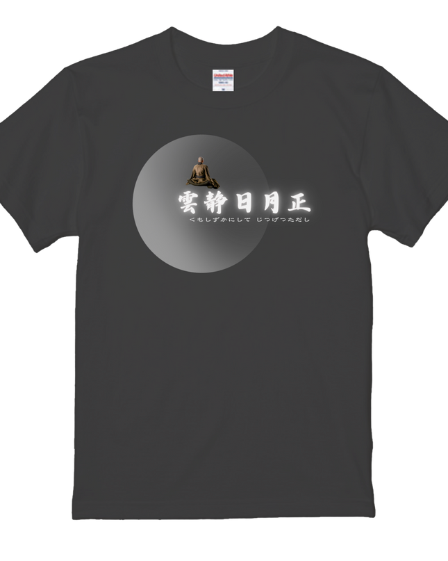 Thirty-six Beautiful Women T-shirts, Ukiyo-e print, Japanese style, Japanese pattern, Japanese souvenir, Mizuno Toshikata, Geisha t-shirt
