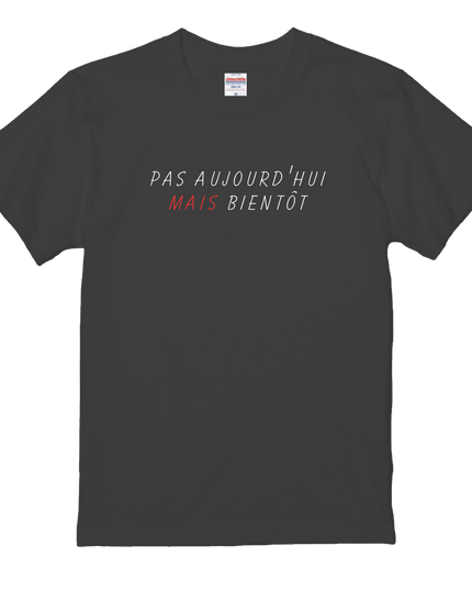 Thirty-six Beautiful Women T-shirts, Ukiyo-e print, Japanese style, Japanese pattern, Japanese souvenir, Mizuno Toshikata, Geisha t-shirt