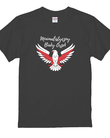 Thirty-six Beautiful Women T-shirts, Ukiyo-e print, Japanese style, Japanese pattern, Japanese souvenir, Mizuno Toshikata, Geisha t-shirt