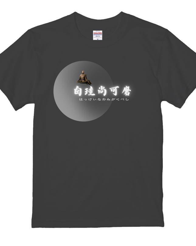 Thirty-six Beautiful Women T-shirts, Ukiyo-e print, Japanese style, Japanese pattern, Japanese souvenir, Mizuno Toshikata, Geisha t-shirt