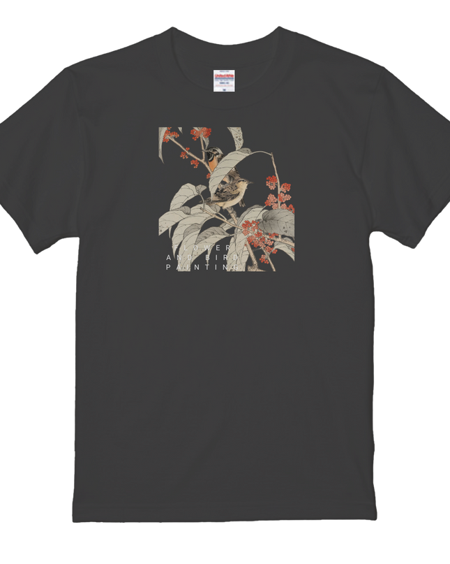 Thirty-six Beautiful Women T-shirts, Ukiyo-e print, Japanese style, Japanese pattern, Japanese souvenir, Mizuno Toshikata, Geisha t-shirt