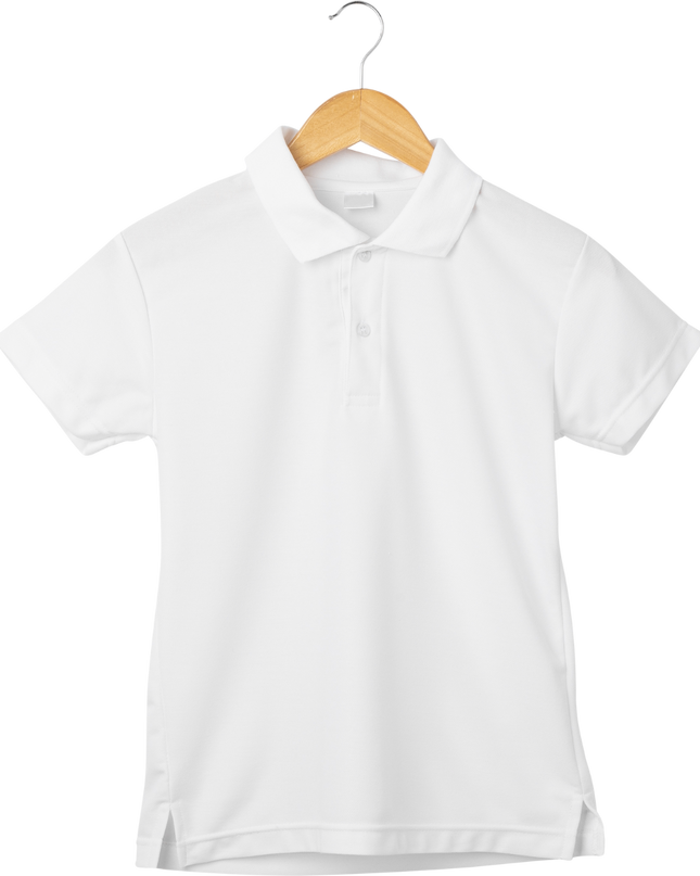 Plain Dry polo shirt polyester 4.4oz 5colors 8size